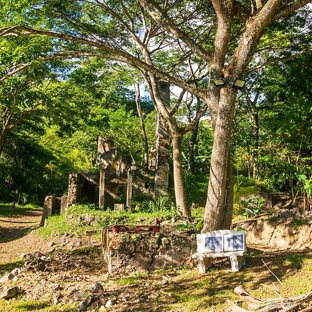 Martinique Treehouse Villa Canton Suisse Екстериор снимка
