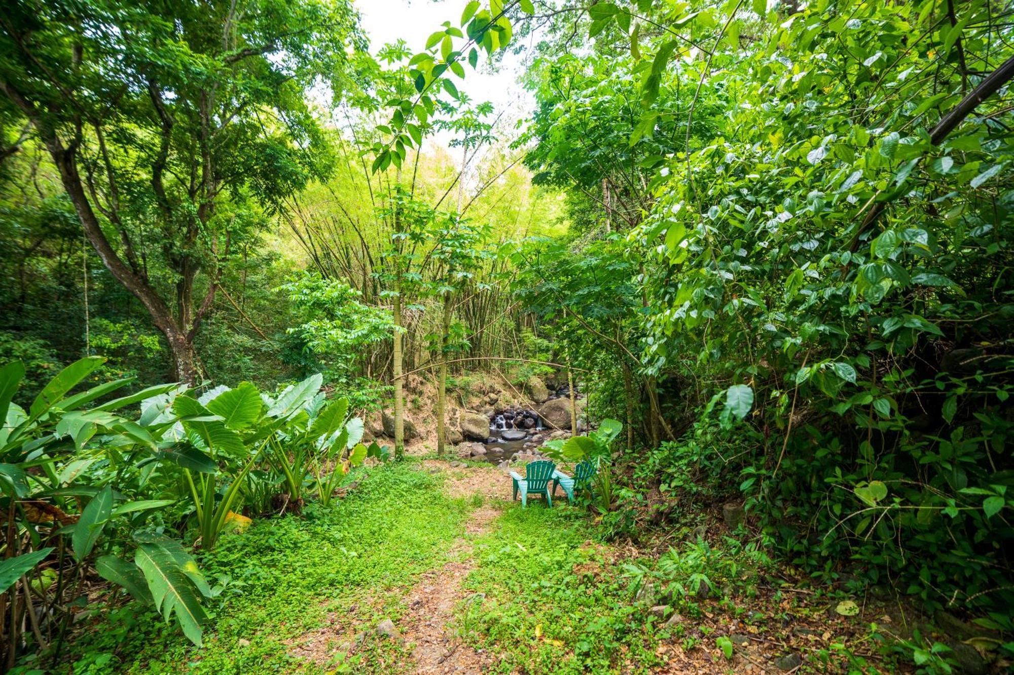 Martinique Treehouse Villa Canton Suisse Екстериор снимка