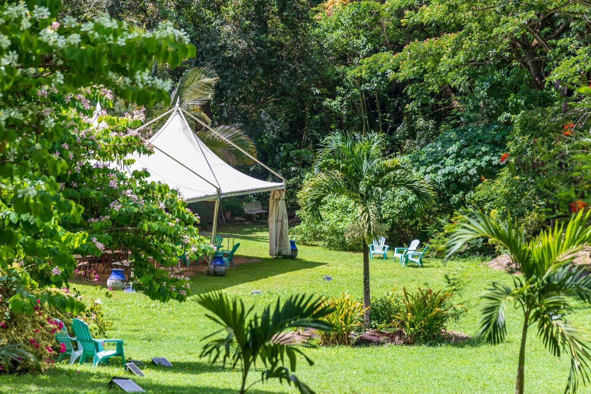 Martinique Treehouse Villa Canton Suisse Екстериор снимка