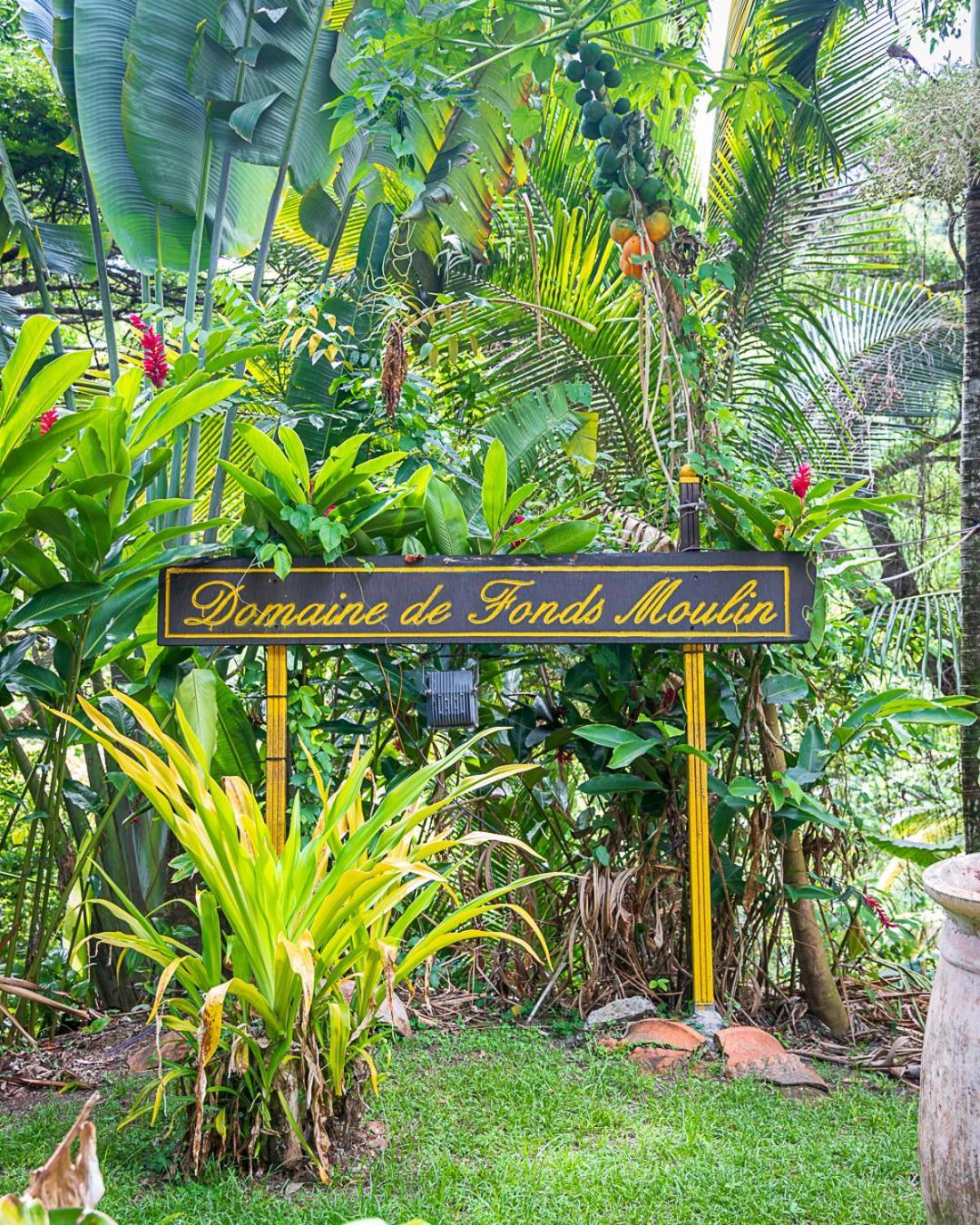 Martinique Treehouse Villa Canton Suisse Екстериор снимка