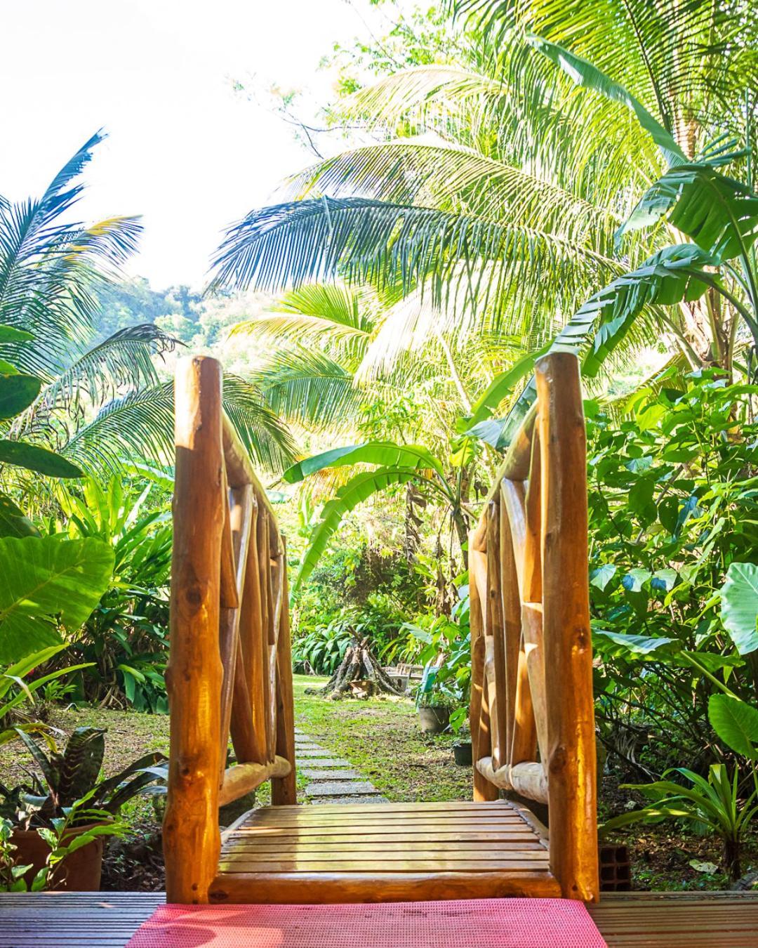 Martinique Treehouse Villa Canton Suisse Екстериор снимка