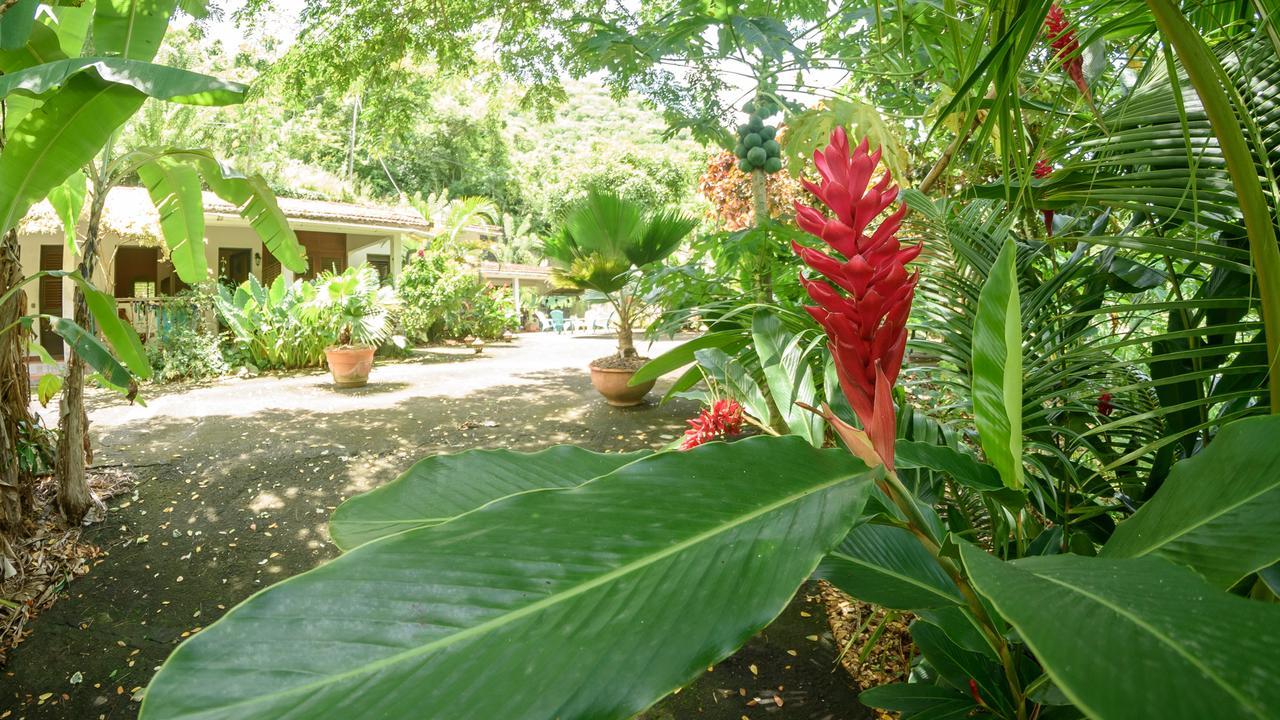 Martinique Treehouse Villa Canton Suisse Екстериор снимка