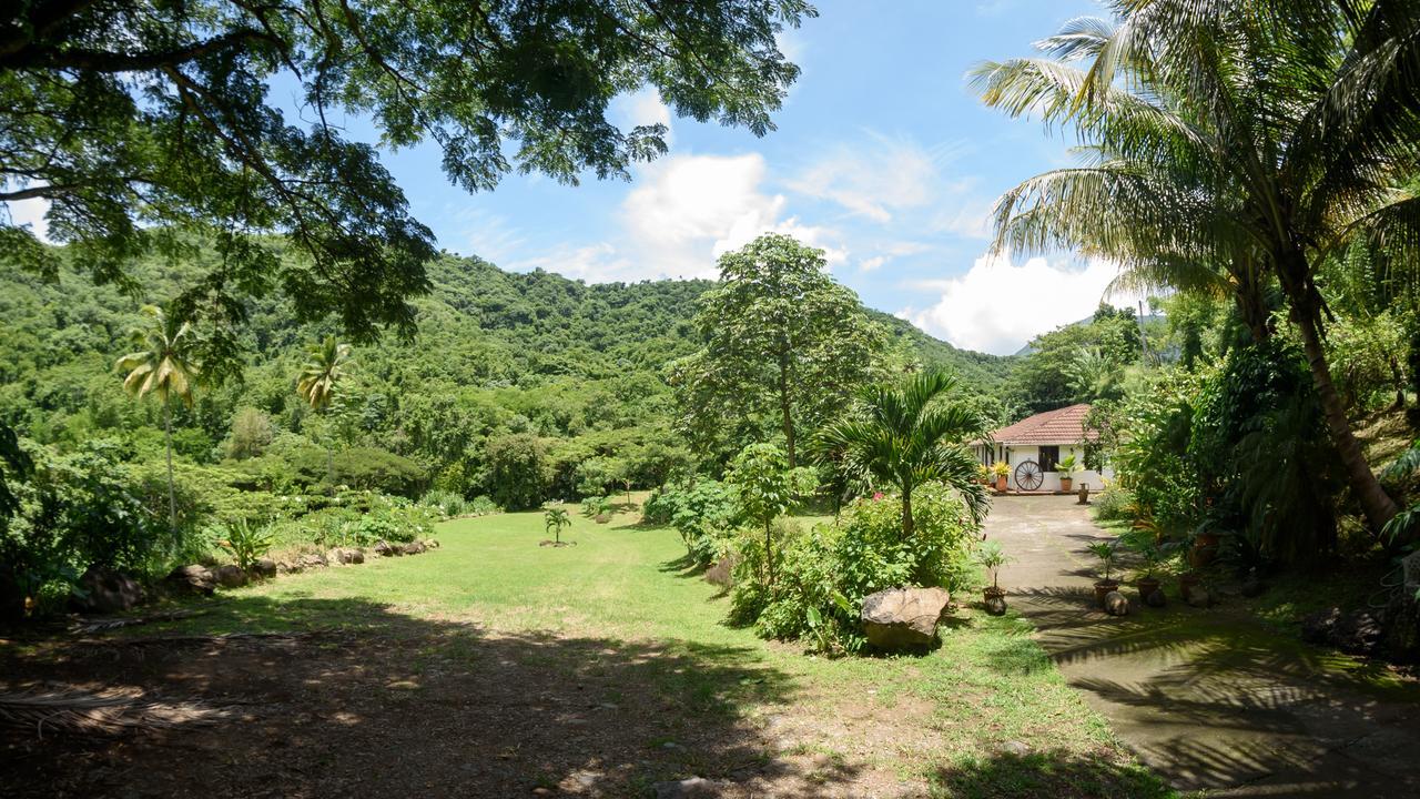 Martinique Treehouse Villa Canton Suisse Екстериор снимка