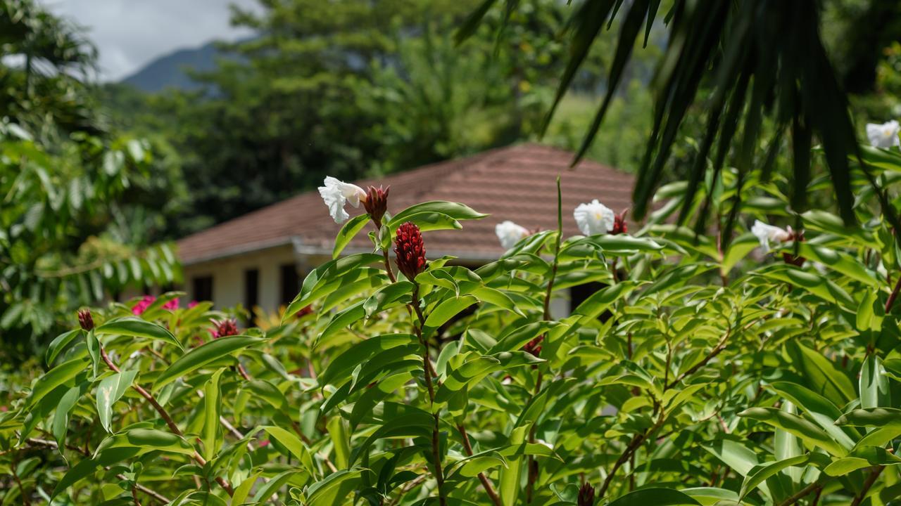 Martinique Treehouse Villa Canton Suisse Екстериор снимка