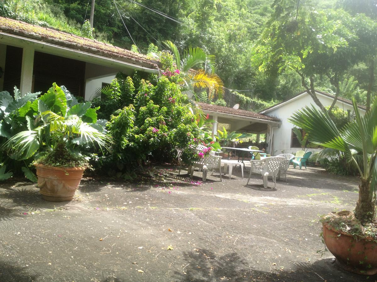 Martinique Treehouse Villa Canton Suisse Екстериор снимка