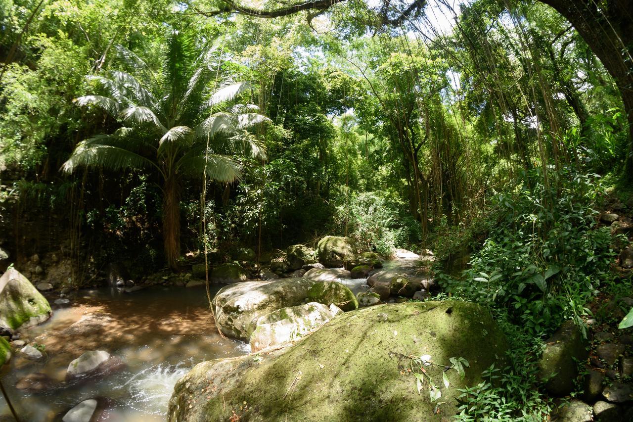 Martinique Treehouse Villa Canton Suisse Екстериор снимка