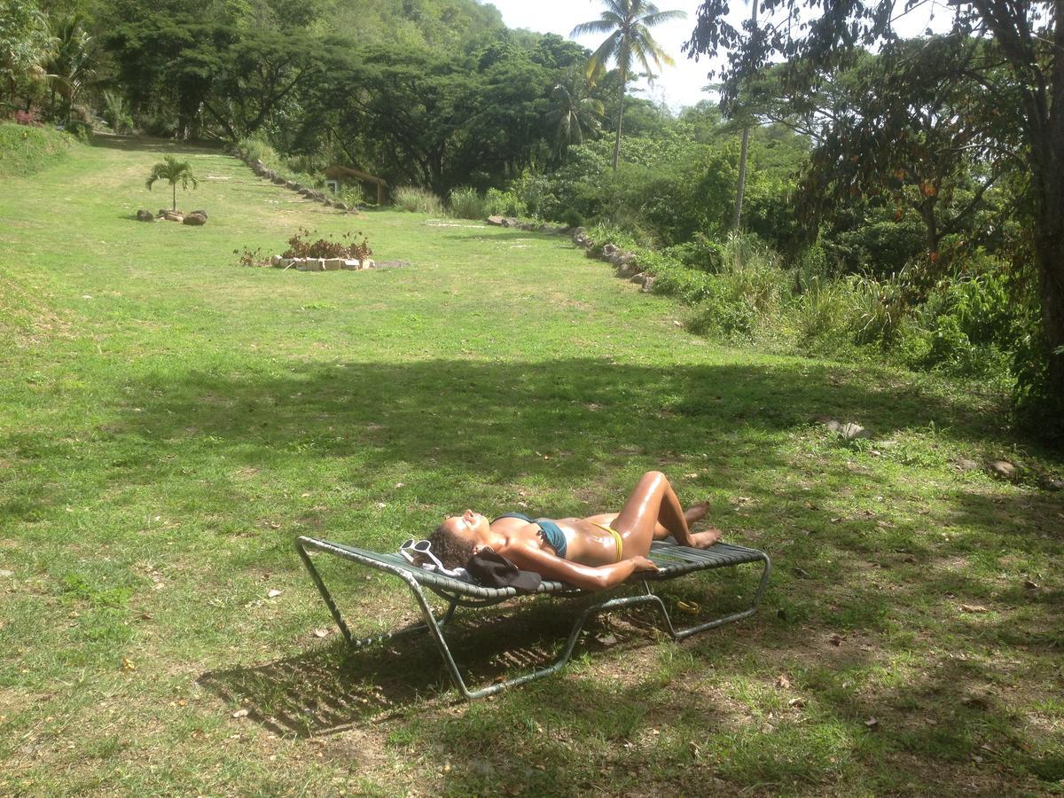 Martinique Treehouse Villa Canton Suisse Екстериор снимка