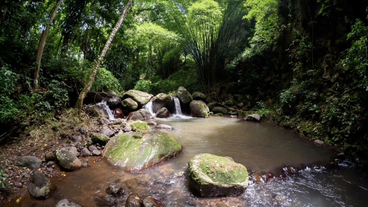Martinique Treehouse Villa Canton Suisse Екстериор снимка
