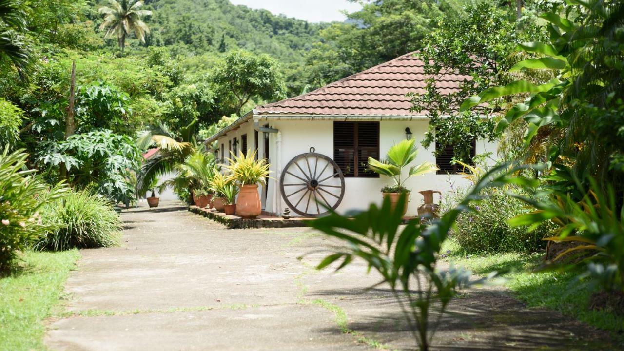 Martinique Treehouse Villa Canton Suisse Екстериор снимка